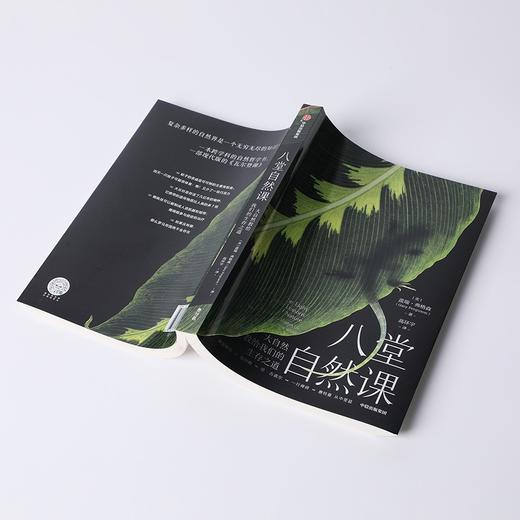 (仓发) 八堂自然课：大自然教给我们的生存之道 盖瑞弗格森 著 现代版 瓦尔登湖/中信出版集团/盖瑞·弗格森（Gary,Ferguson）/9787521736311 商品图2