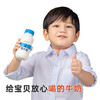 【光明&小西牛】青藏高原纯牛奶 青海牛奶 高原特色瓶装牛奶243ml*12瓶 商品缩略图1
