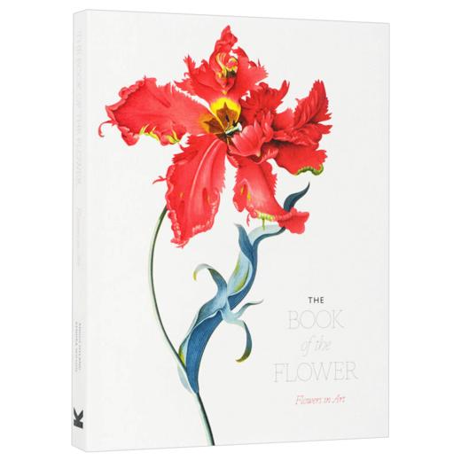 花之书 英文原版 The Book of the Flower Flowers in Art 艺术的花 花卉绘画册 插画集 英文版进口原版英语书籍 商品图2