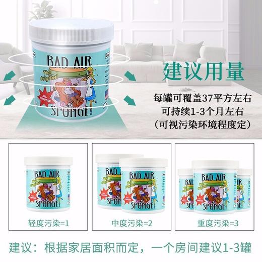 【3罐装更划算】美国进口 Bad Air Sponge 甲醛清除剂空气净化剂新房新 400g/罐 孕妈适用 甲醛装修异味（一般贸易） 商品图7