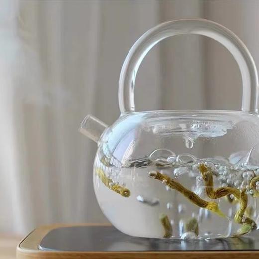 霍山石斛铁皮一级枫斗月用装37.5g 安徽特产礼盒新货 商品图3