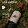 【连续六年智利一级庄】安第斯之翼赤霞珠红葡萄酒 智利 商品缩略图1