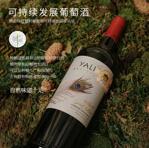 【连续六年智利一级庄】安第斯之翼赤霞珠红葡萄酒 智利 商品图1