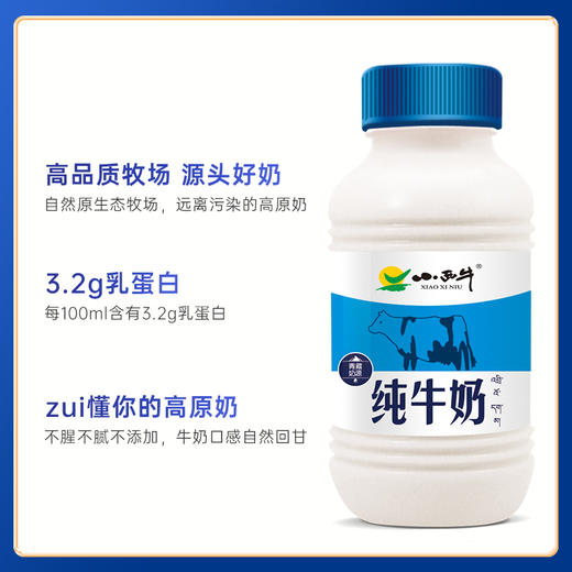 小西牛 青海纯牛奶 高原特色瓶装牛奶243ml*12瓶 商品图1