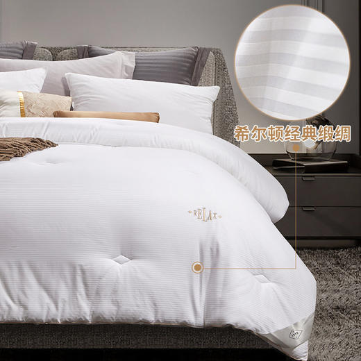 世茂希尔顿抗菌防螨被芯秋冬棉被春秋被加厚保暖被子冬被四季通用 商品图0