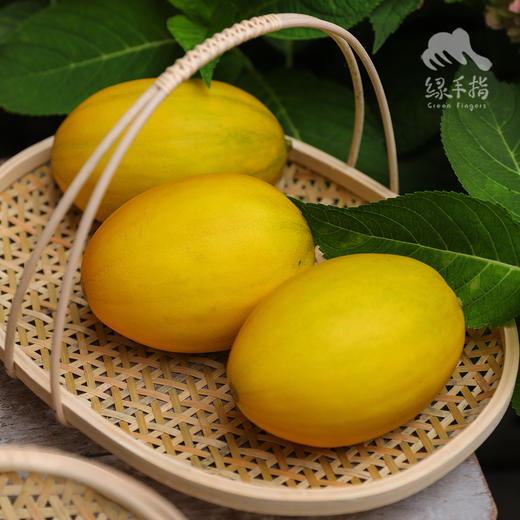 生态桂蜜甜瓜（8.5折；广州基地一件发货） | 绿家自产* Ecological melon | Self-production 商品图11