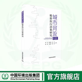 城市河流片区精准治污决策研究