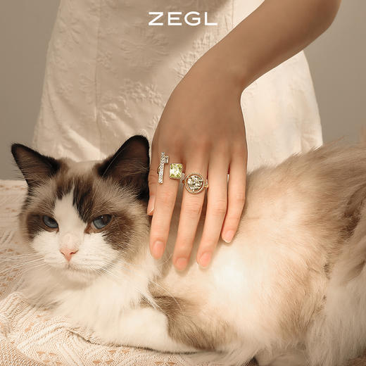 ZEGL设计师闺蜜系列法式复古戒指女设计小众ins潮装饰开口食指戒 商品图7