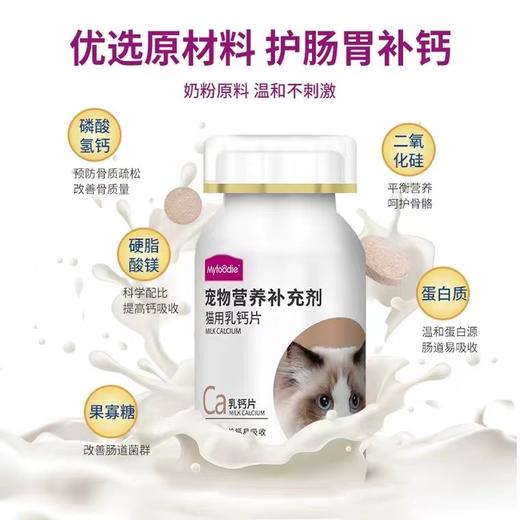 麦富迪宠物猫用幼猫猫咪专用钙片幼猫成猫健骨补钙营养品增肥100g 商品图1