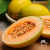 生态桂蜜甜瓜（8.5折；广州基地一件发货） | 绿家自产* Ecological melon | Self-production 商品缩略图8