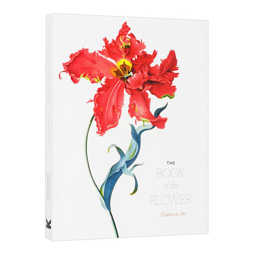 花之书 英文原版 The Book of the Flower Flowers in Art 艺术的花 花卉绘画册 插画集 英文版进口原版英语书籍 商品图0