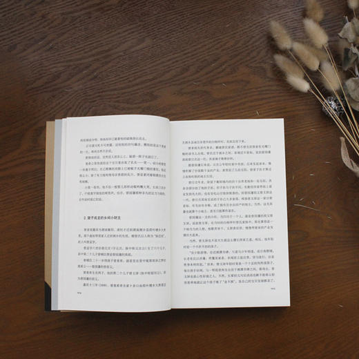 (仓发) 曾国藩传  人物传记 （逐年逐事讲透曾国藩61年人生的无奈、复杂与挣扎）/江苏凤凰文艺出版社/梅寒/9787559423627 商品图7