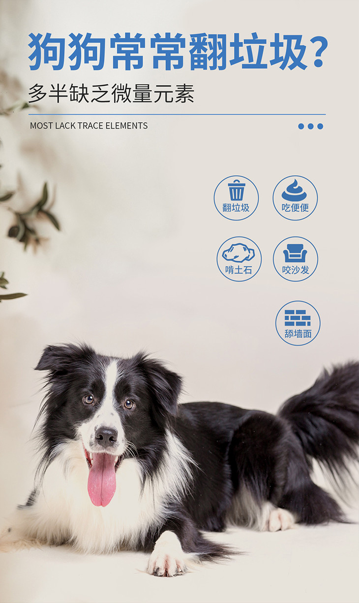 O1CN01yturrC22JqkTaZqhs_!!1124587100.jpg (790×1325)