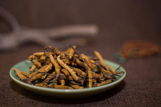 央珍野生冬虫夏草圆盘礼盒1200条规格送礼包邮 商品图3