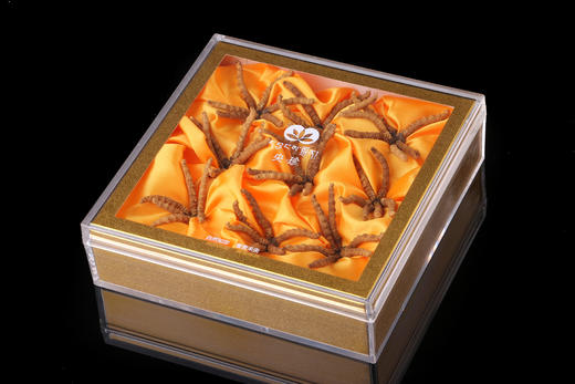 央珍野生冬虫夏草礼盒装1700条/18g送礼包邮正品 商品图0