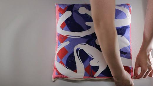 SCNU抱枕 商品图1