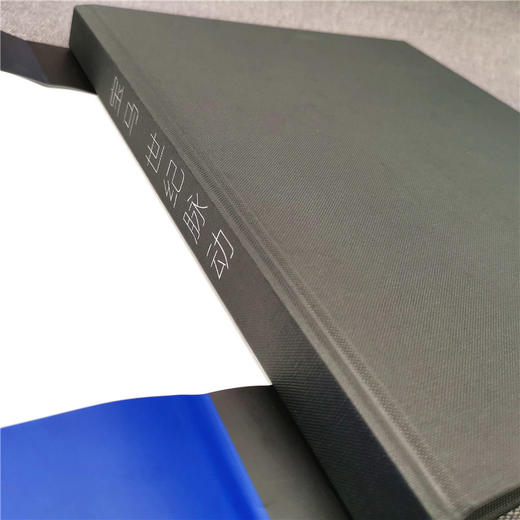 (仓发) 宝马：世纪脉动/机械工业出版社/[英]托尼·卢因（Tony,Lewin）/9787111653899 商品图3