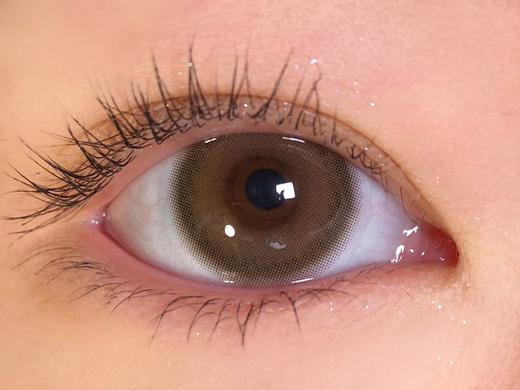 Sugarplum糖豆家-奶香栗 100   225    275-450    500-650    750-1000 缺  商品图7