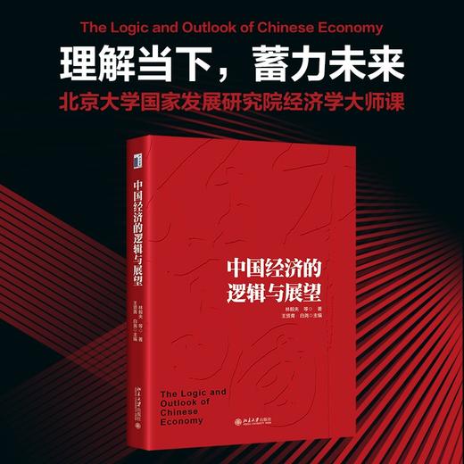 (仓发) 中国经济的逻辑与展望/北京大学出版社/林毅夫，等/9787301325582 商品图1