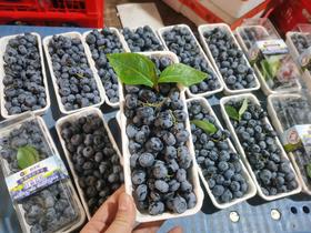 挂霜串枝蓝莓活动款