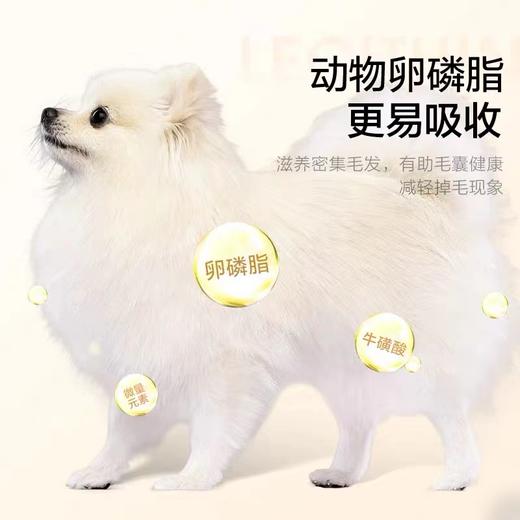 麦富迪狗狗零食冻干鹌鹑蛋泰迪金毛宠物零食小型成幼犬训犬奖励 商品图3