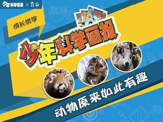 动物原来如此有趣 商品图0