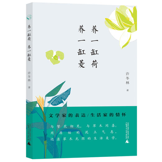 (仓发) 从前慢书系·养一缸荷，养一缸菱/广西师范大学出版社/许冬林/9787559819048 商品图0