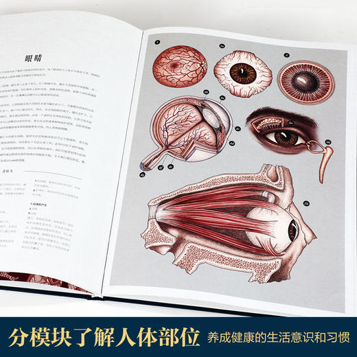 乐乐趣-奇迹博物馆 全3册 人体、太空、菌菇博物馆 商品图5