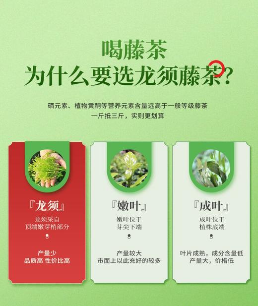 LF来凤藤茶春上寻100g 商品图10