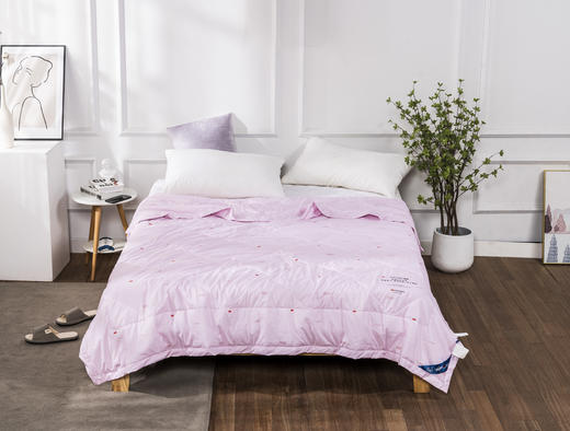 吸湿亲水可水洗凉被 商品图3