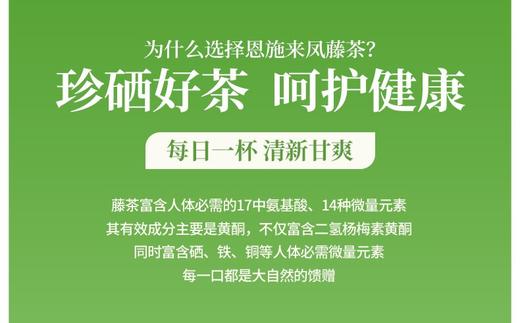 LF来凤藤茶春上寻100g 商品图4