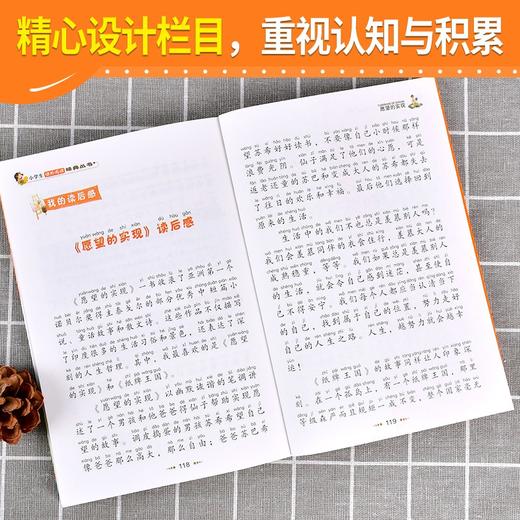 (仓发) 愿望的实现（彩图注音版）快乐读书吧二年级下册 一二年级小学生课外阅读经典丛书 小书虫阅读系列/北京教育出版社/[印]泰戈尔/9787570404483 商品图2