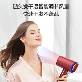 添可（TINECO）智能吹风机负离子护发家用便携大功率风筒