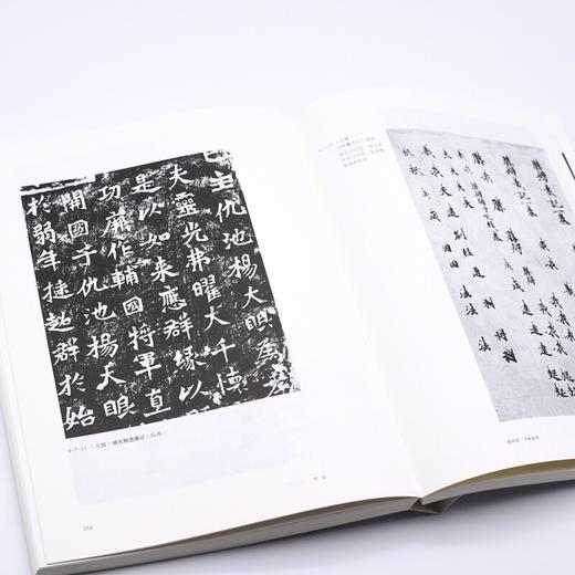 (仓发) 书法：一份关于书法的知识、观念和深入途径的备忘录/生活·读书·新知三联书店/邱振中/9787108069054 商品图6