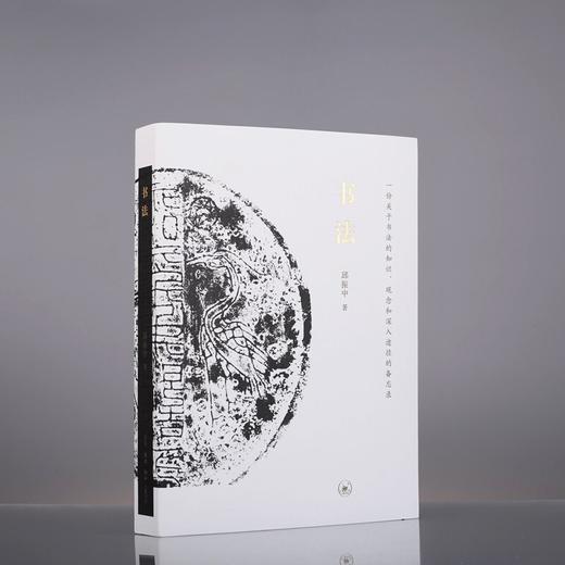 (仓发) 书法：一份关于书法的知识、观念和深入途径的备忘录/生活·读书·新知三联书店/邱振中/9787108069054 商品图4