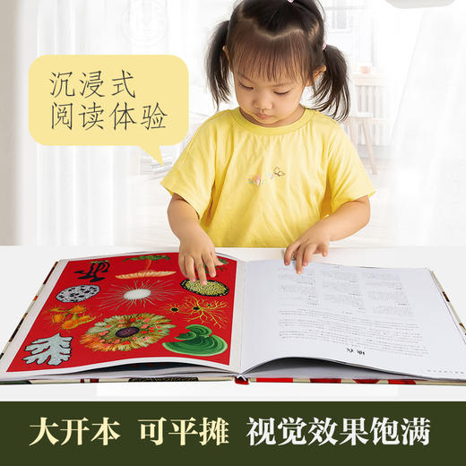 乐乐趣-奇迹博物馆 全3册 人体、太空、菌菇博物馆 商品图1