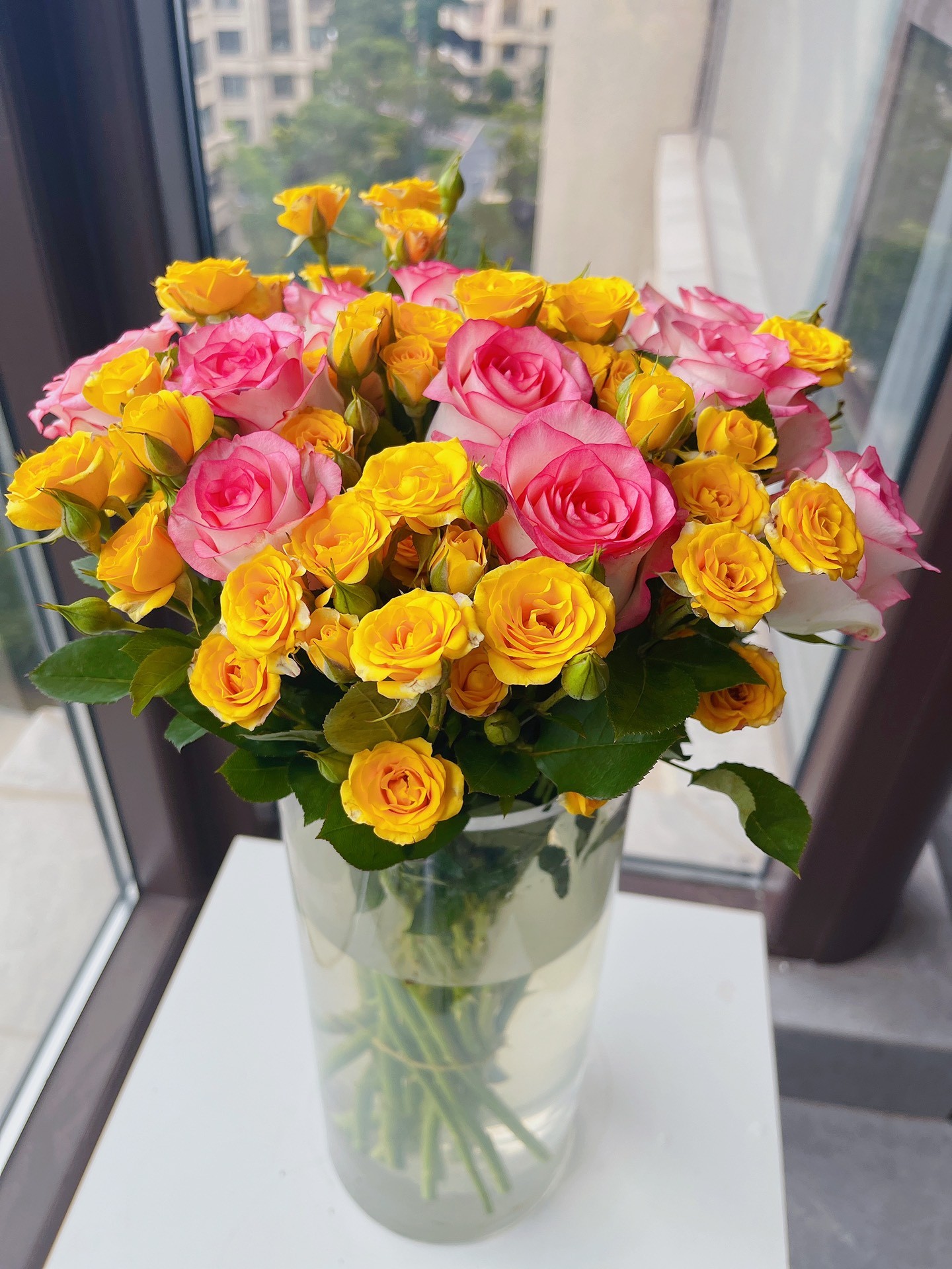 艾莎10支梦幻芭比10支27冷链包邮