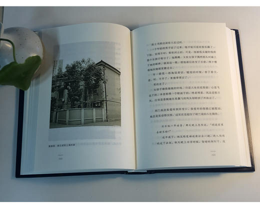 (仓发) 花开花落张爱玲/生活·读书·新知三联书店/淳子/9787108068064 商品图3