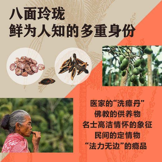 一嚼两千年 从药品到瘾品 槟榔在中国的流行史 曹雨 著 小小青果如何倾倒众生 从历史文化到现实社会全面解读 中信出版 商品图1