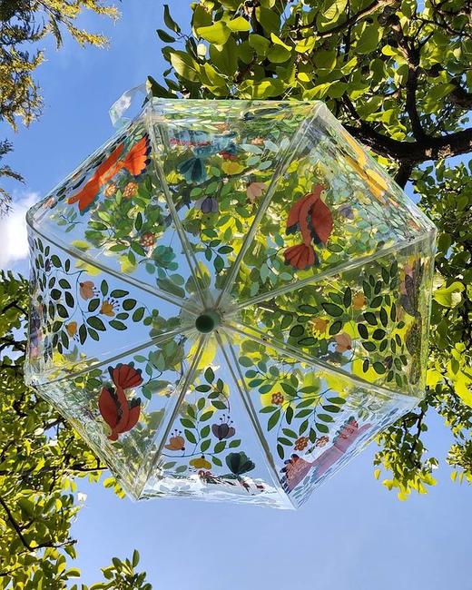 法国DJECO 小童 幼童专属透明花伞/变色伞（TG-MLPY)） 商品图10