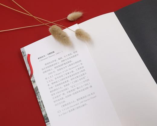 (仓发) 斯图尔特的倒带人生（电影海报封面纪念版）/人民文学出版社/[英]，亚历山大·马斯特斯/9787020158140 商品图3