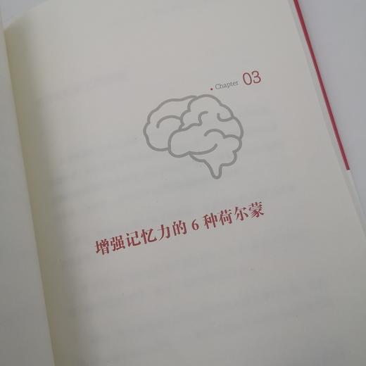 哈佛长时记忆法 快速打造你的学习脑 记忆脑 考试脑 商品图12