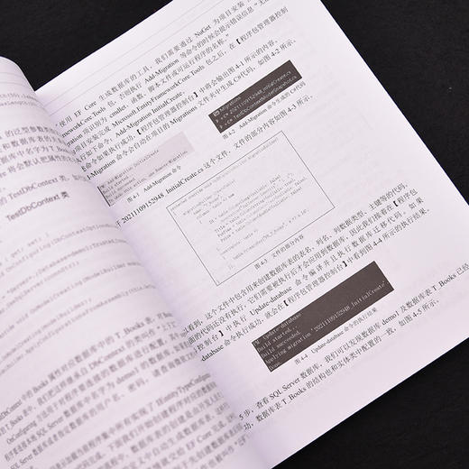 ASP.NET Core技术内幕与项目实战 商品图4