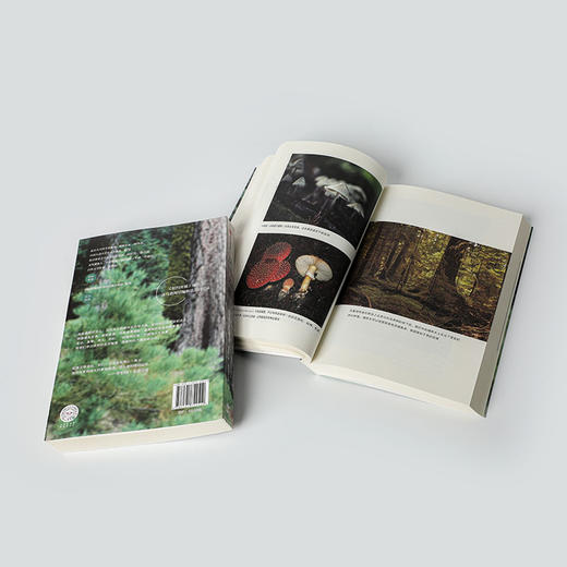 森林之歌 苏珊娜西马德 著 森林的女儿 先锋科学家如何用树木的智慧疗愈人生 一部爱与生命的联结史 事业与家庭 亲情 中信出版 商品图3