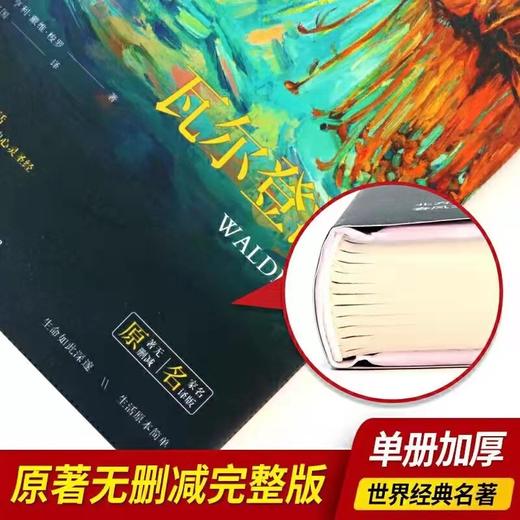 《瓦尔登湖》 精装正版 中小学课外阅读名著 插图珍藏版全译本 商品图2