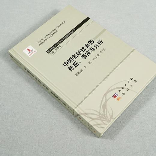 (仓发) 中国老龄社会的数据、事实与分析/科学出版社/翟振武，等/9787508858814 商品图4