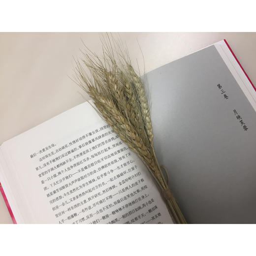 (仓发) 盛世天光/广西师范大学出版社/[马来西亚]李天葆/9787559823021 商品图4