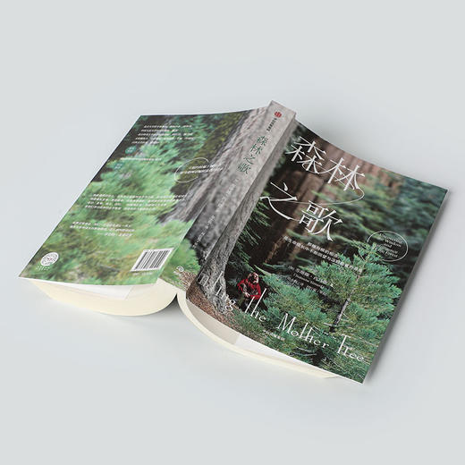 森林之歌 苏珊娜西马德 著 森林的女儿 先锋科学家如何用树木的智慧疗愈人生 一部爱与生命的联结史 事业与家庭 亲情 中信出版 商品图2