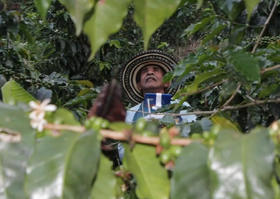 美洲咖啡产区——厄瓜多尔