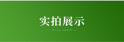 LF来凤藤茶春上寻100g 商品图12